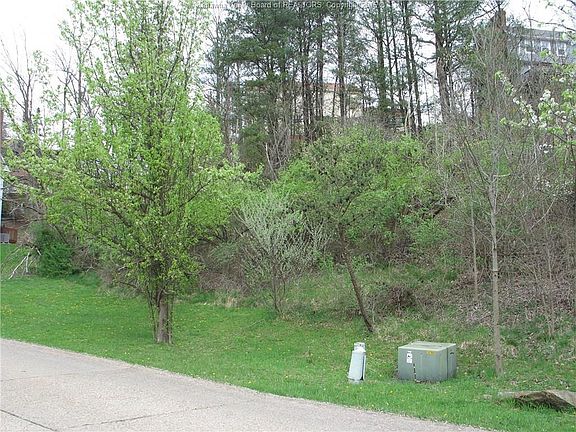 4th image of 317 Woodbridge Dr