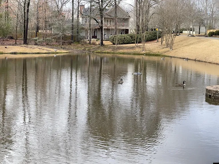 12025 Brodie Creek Trl — Photo 3