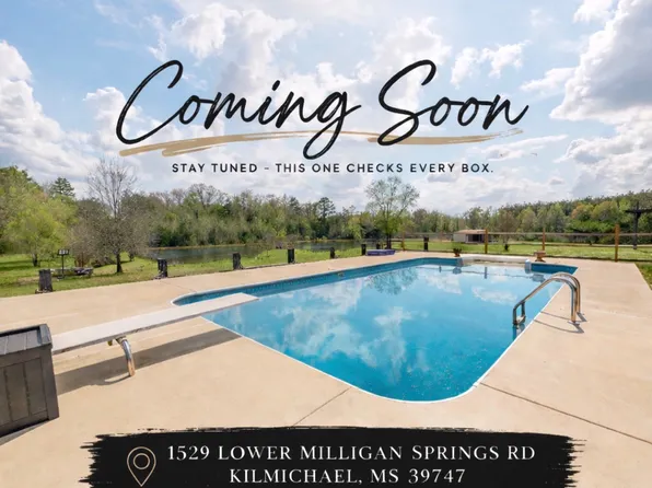 1529 Lower Milligan Springs Rd, Kilmichael, MS 39747