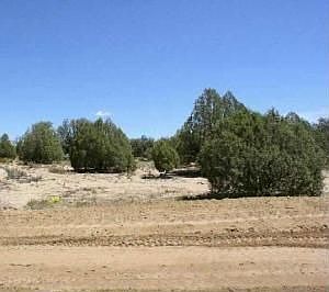 6411 Castle Rock Circle