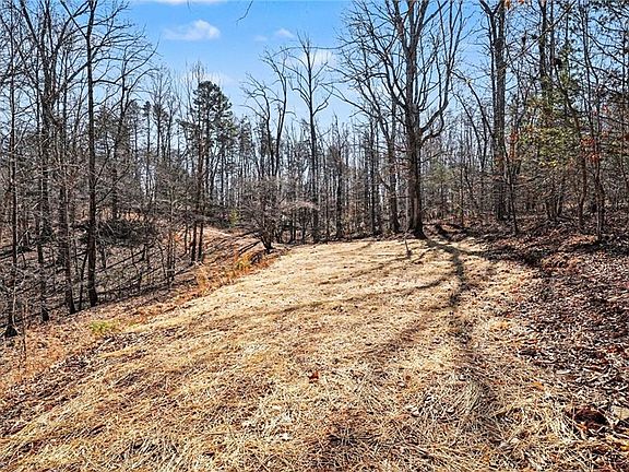4th image of 9770 Baux Mountain Rd Lot 21A
