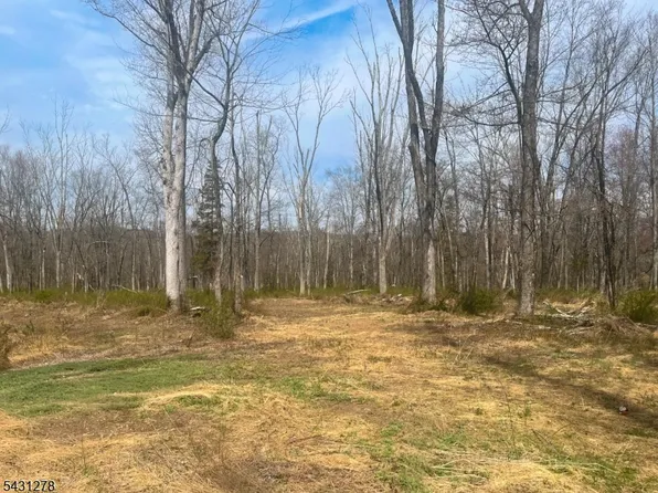 29 Twin Oaks Ln, Harding Twp., NJ 07960