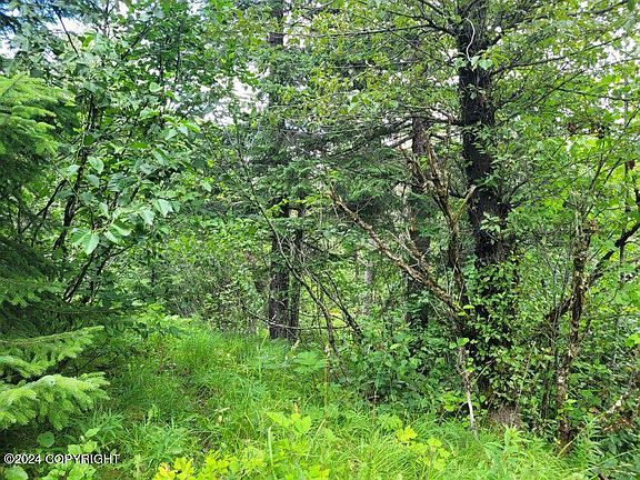 5th image of LOT 6 Spruce Ct