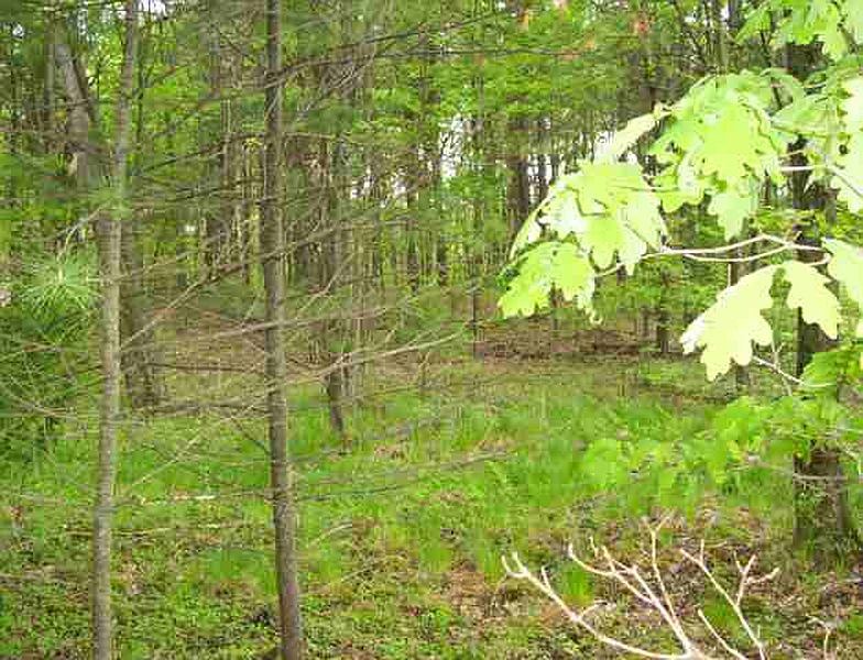 4th image of Lot 2 PARADISE LAKE Road