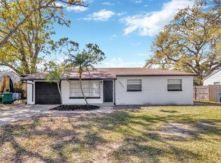 10512 N Otis Ave, Tampa, FL 33612