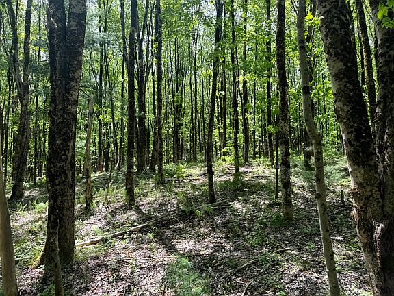 4th image of 1.1 Marsh Rd #1