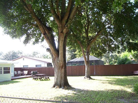 shaded back yard