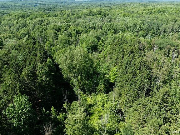 5th image of 1600 Grover Rd