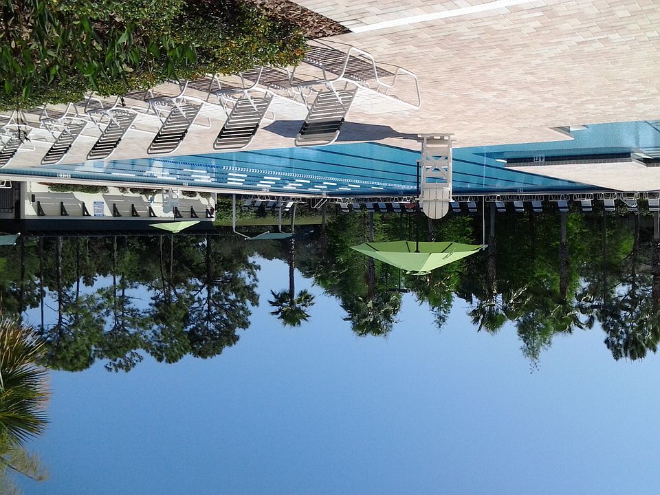 2nd image of 12435 Berkeley Square Dr