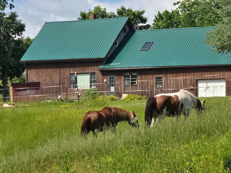 One of our horse pastures is just across the driveway from your picture window!