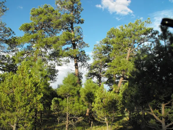 5262 Stargazer Dr, Happy Jack, AZ 86024