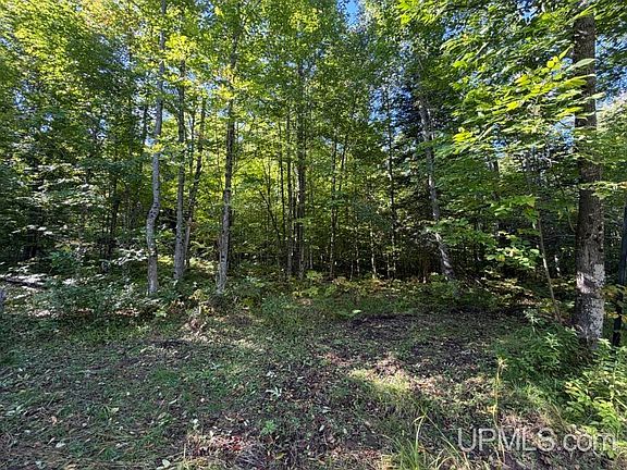 2nd image of Vl 40 Skanee Rd