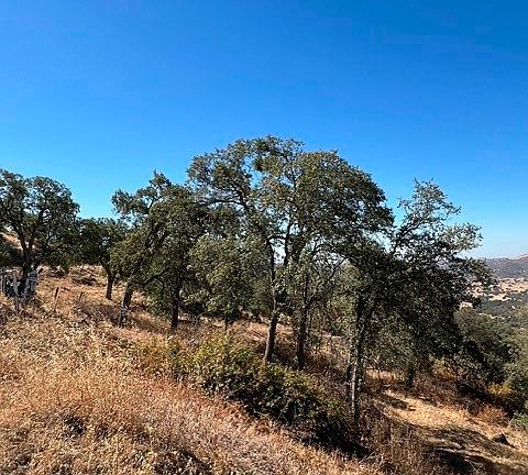 2nd image of 0 Thunderhill Ln Lot 331