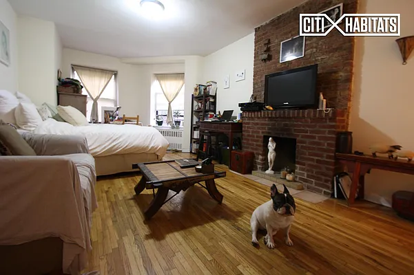 Rented by Citi Habitats | media 7