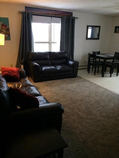 amazing living room
