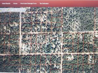 NE 81st Street And Northeast Ave #125, Bronson, FL 32621