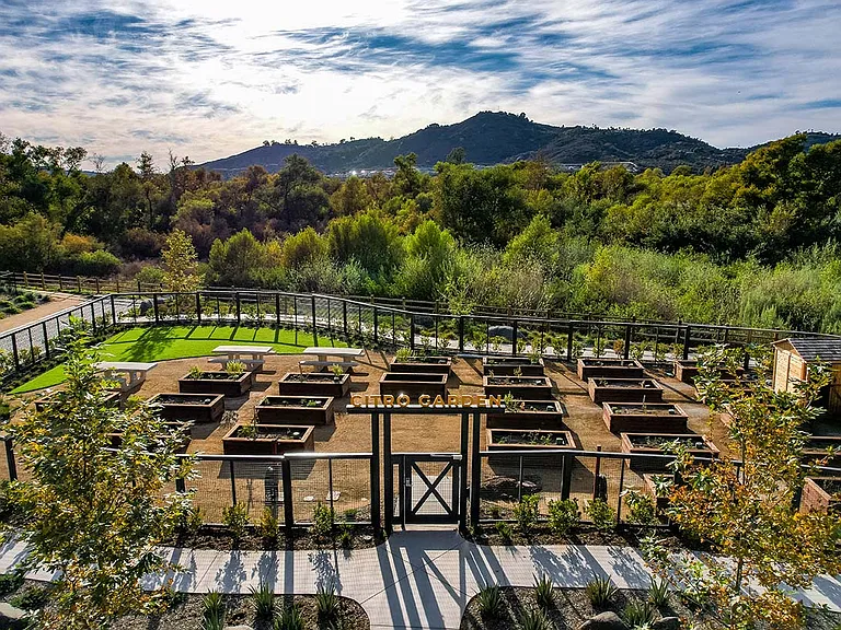 community garden