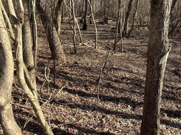 0 E Greene County Rd #954, Paragould, AR 72450