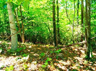 119 S Laceola Rd, Cleveland, GA 30528