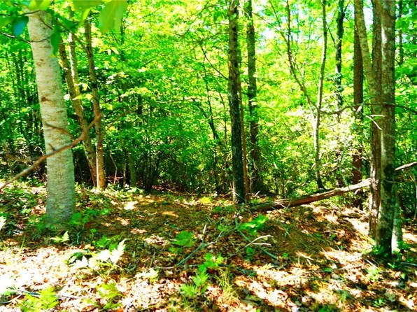 119 S Laceola Rd, Cleveland, GA 30528