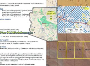 10490007 N Porter Ave, Joseph City, AZ 86032