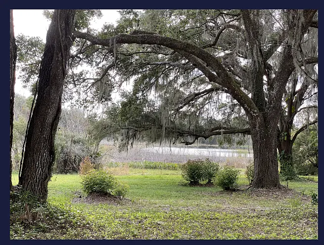 2 bed, 1.5 bath, 800 sqft, $1,200 — Photo 1