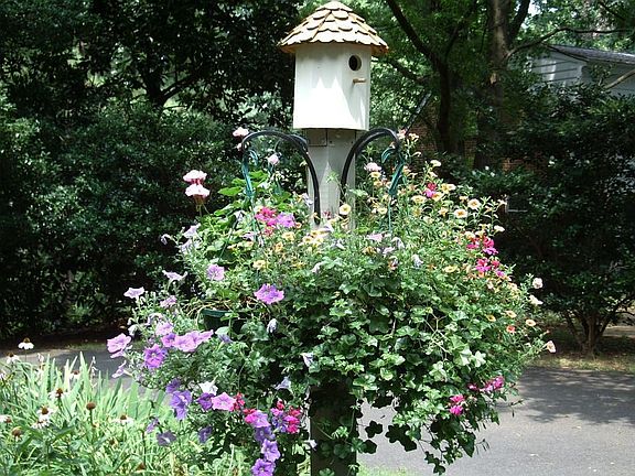 The birds love to gather here.