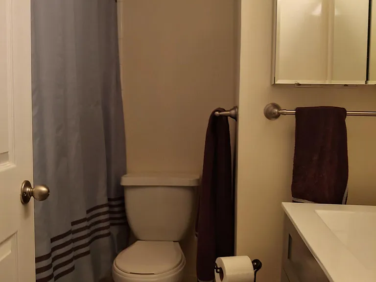 Bathroom view, full shower/tub