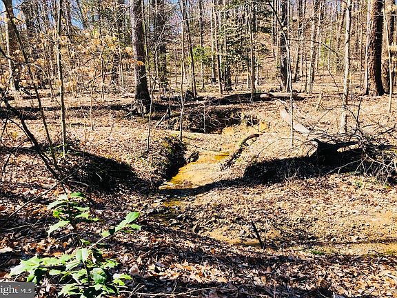 4th image of 12357 Purcell Rd