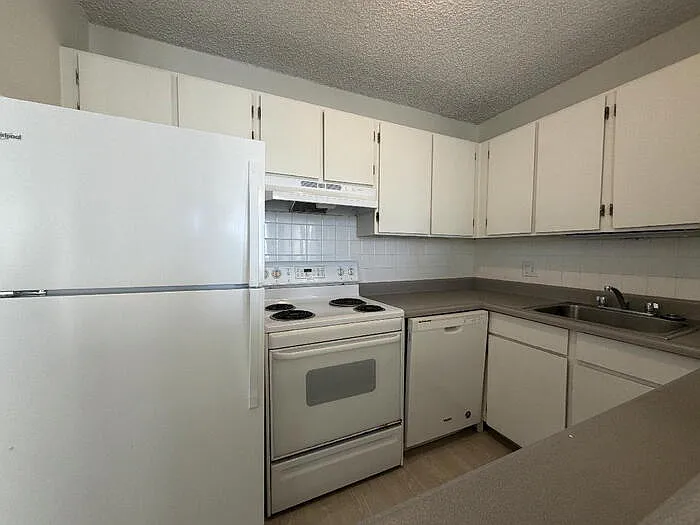 1 bed, 1.0 bath, $2,445 — Photo 3