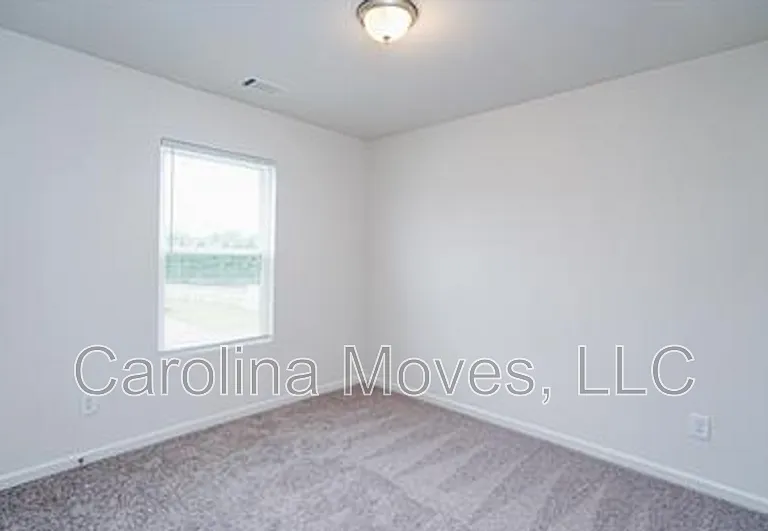 507 Springtime Ln — Photo 9