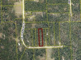 695 SE Downing Dr, High Springs, FL 32643