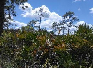 Padgett Trl, Saint cloud, FL 34771