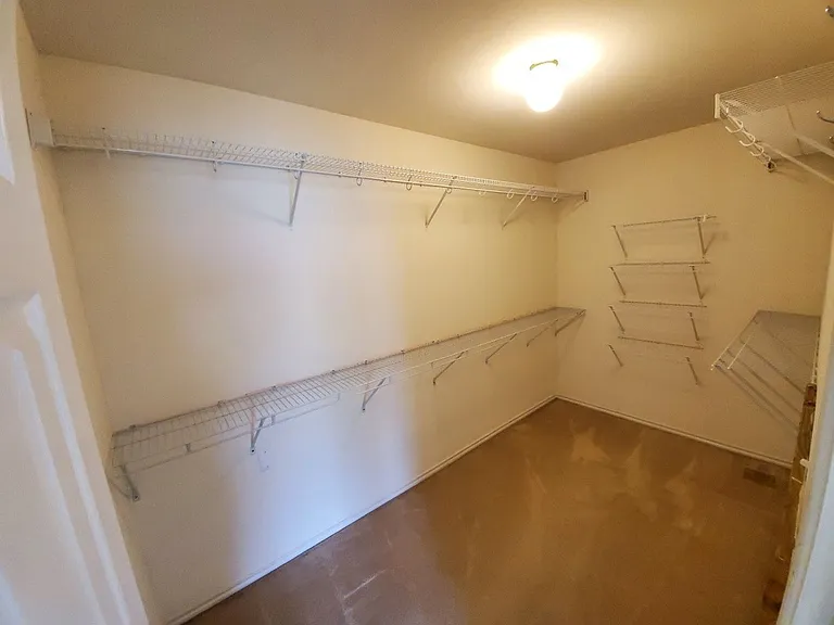 25714 Gold Yarrow — Photo 13