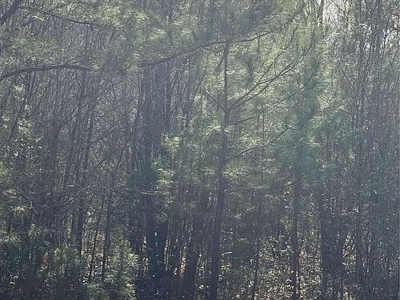 2nd image of 13905 Brown Bridge Rd