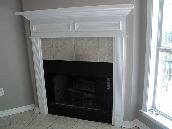 wood burning fireplace