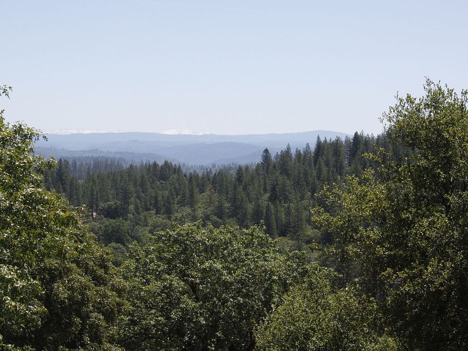 View from your covered deck. 