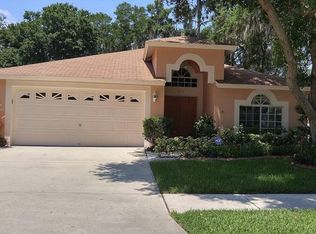 4419 Preston Woods Dr, Valrico, FL 33596