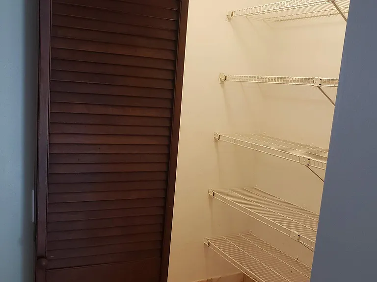 Pantry / storage closet (off of kitchen)