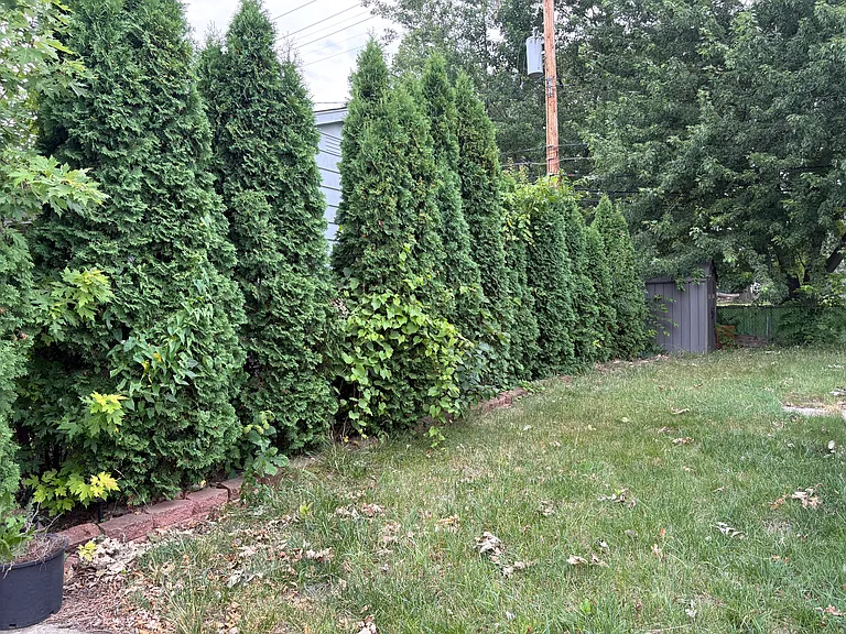 5973 Berwyn St — Photo 10