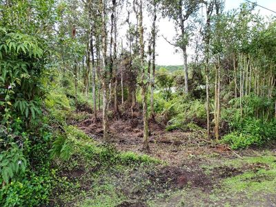 Oahu Rd, Pahoa, HI, 96778