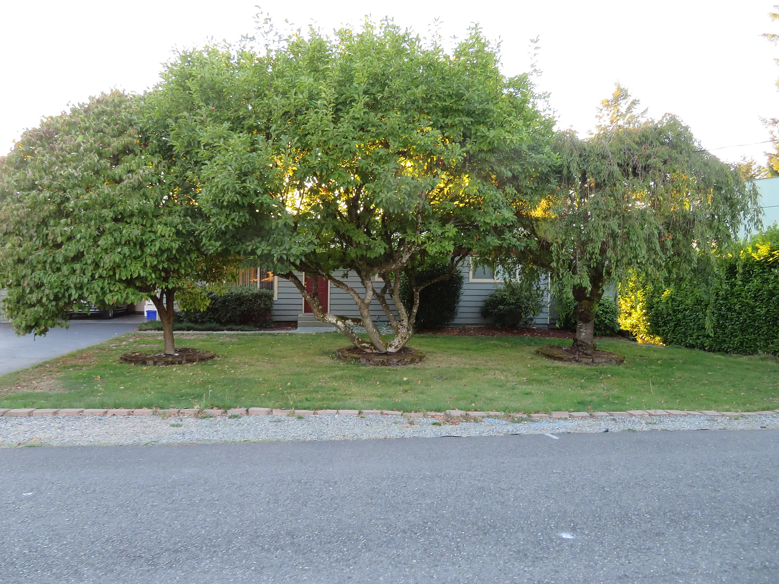 2 bed, 1.5 bath, 1313 sqft, $2,500 — Photo 2
