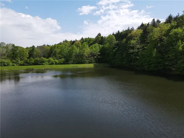 Hardscrabble Rd Lot 1, Addison, NY 14801