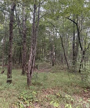 3rd image of 0 Highway 43