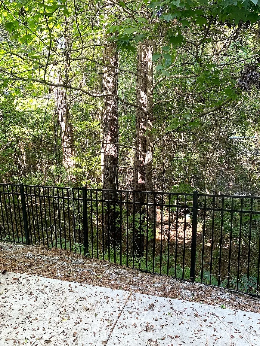 305 Cherwell Ct — Photo 3