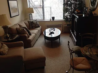 Rented by Royalty Living NYC