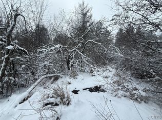 Eddy Rd LOT 2, Theresa, NY 13691