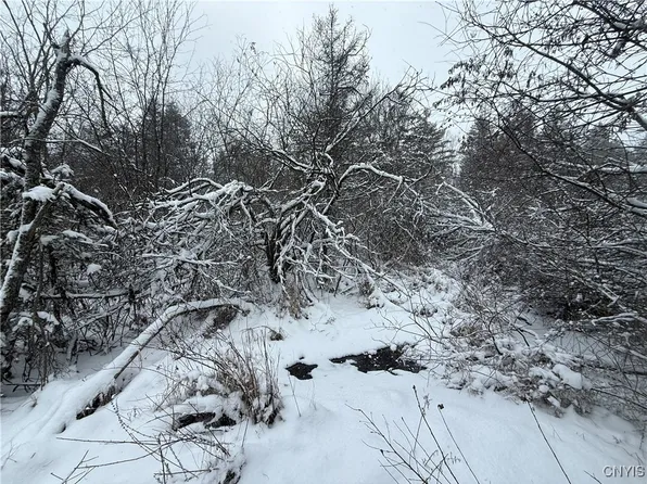 Eddy Rd Lot 2, Theresa, NY 13691