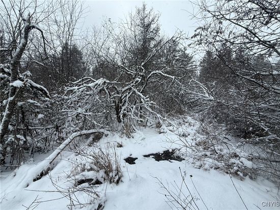 Eddy Rd Lot 2, Theresa, NY 13691