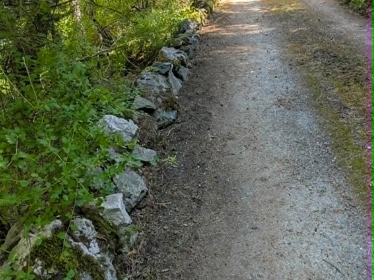 237 Switchback Rd — Photo 19